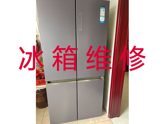 上海冰箱维修-冰柜维修